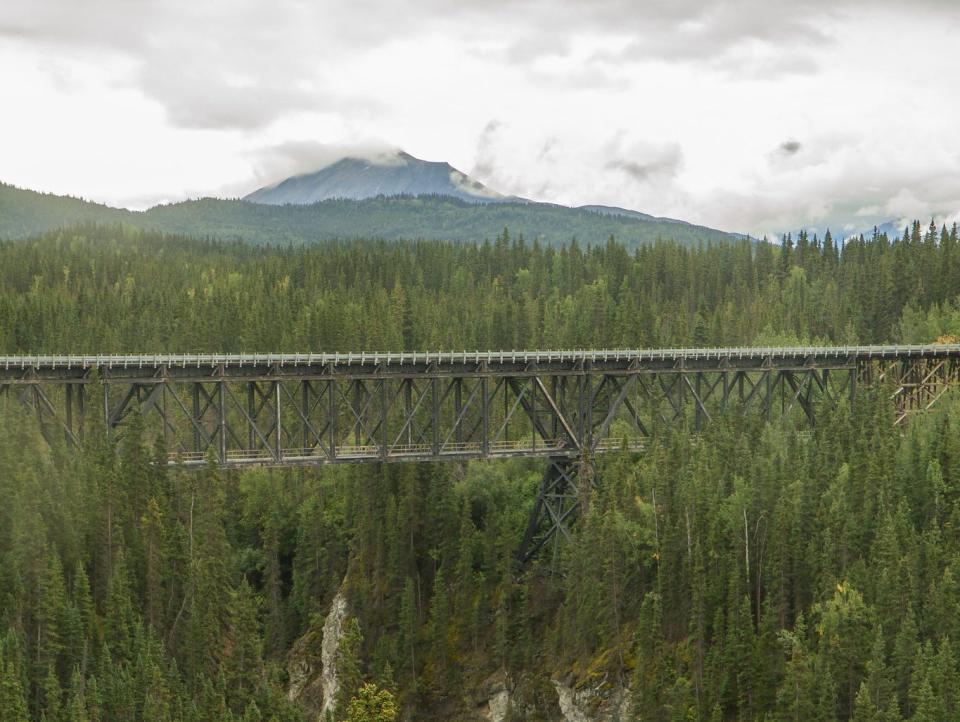 A narrow bridge over treetops.