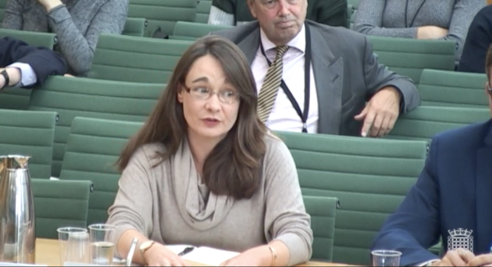 Dr Katy Hayward of Queen’s University Belfast speaking to the Exiting the European Union Committee. Pic: House of Commons