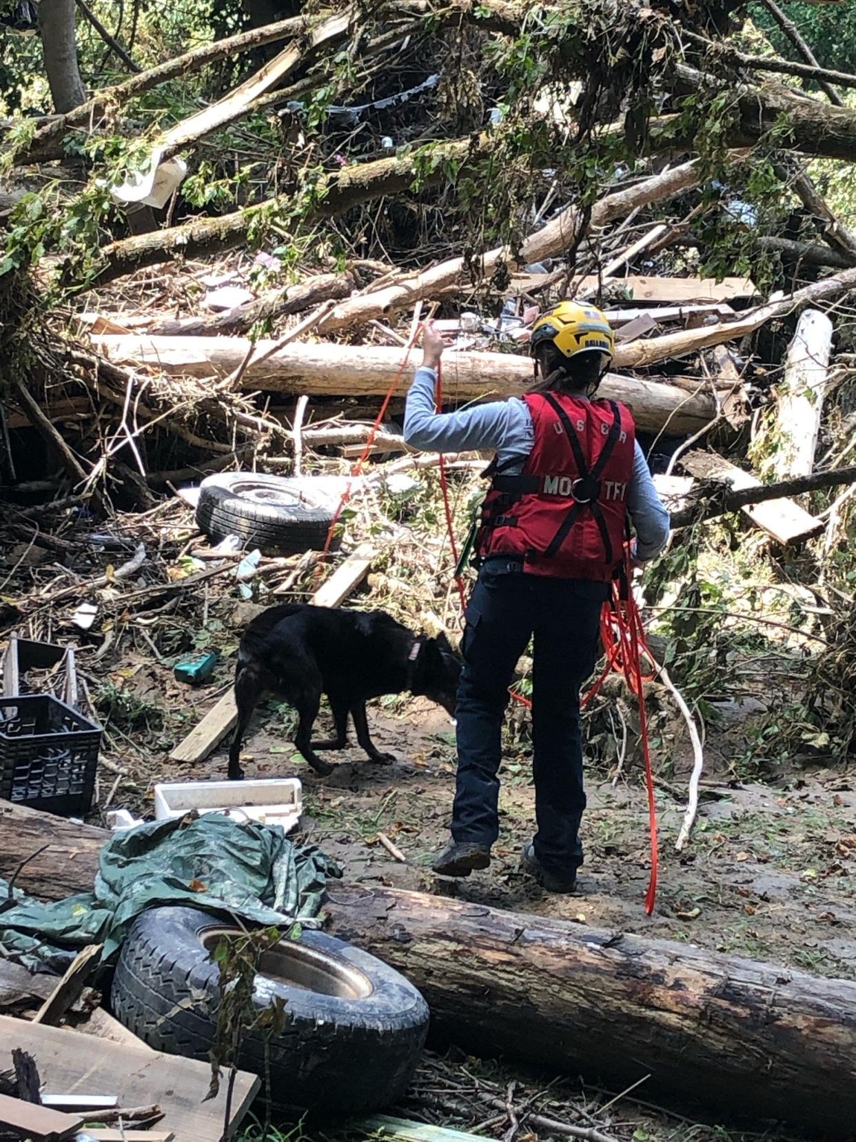 A member of Missouri Task Force 1 works with a search dog during flood relief efforts in eastern Kentucky.