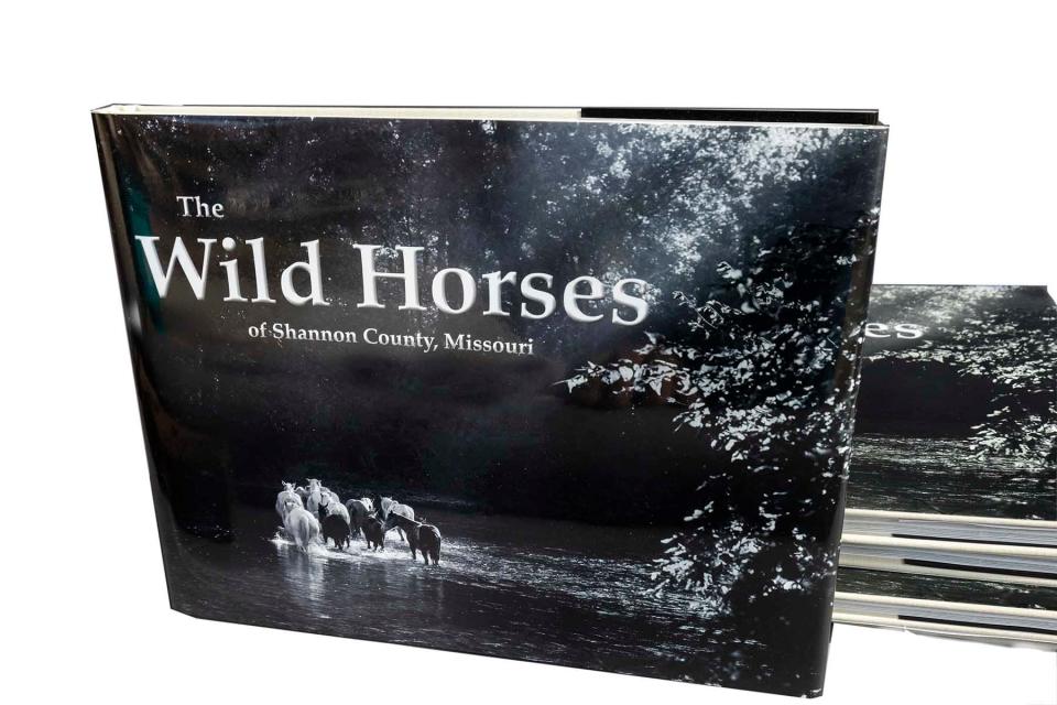 "The Wild Horses of Shannon County, Missouri" is a new photobook from local photojournalist Dean Curtis. The book includes about 100 photos of the four wild horse herds in Shannon County: Shawnee Creek, Broadfoot, Rocky Creek and Round Spring. The book also includes information about the Missouri Wild Horse League.