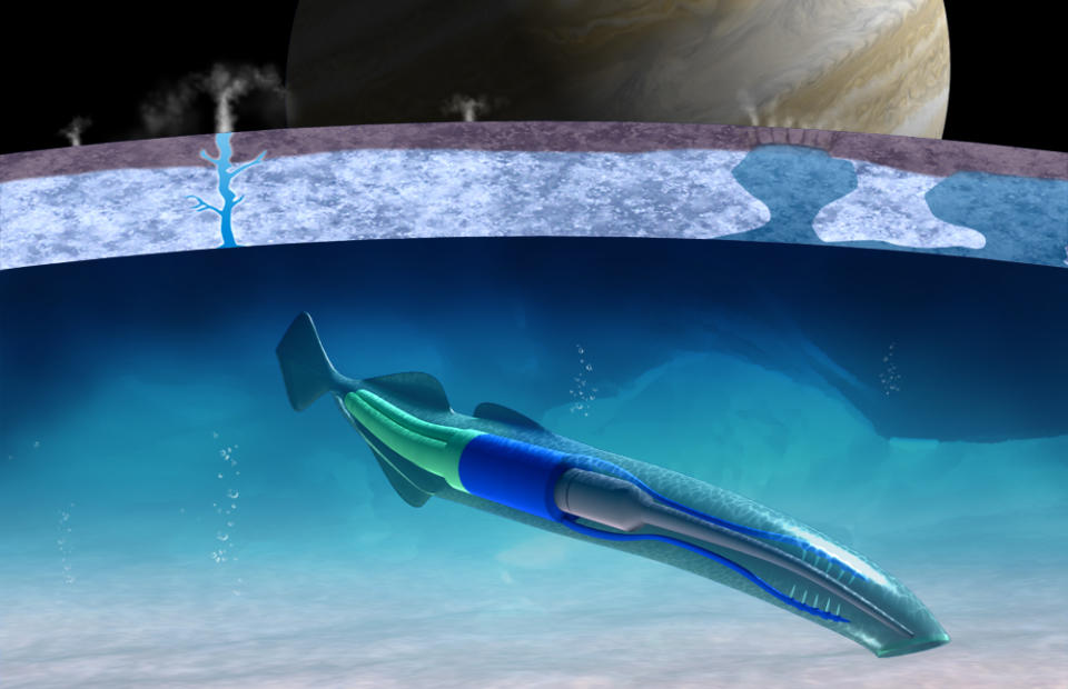 What evidence have we found that supports the theory that there could be life on Europa?