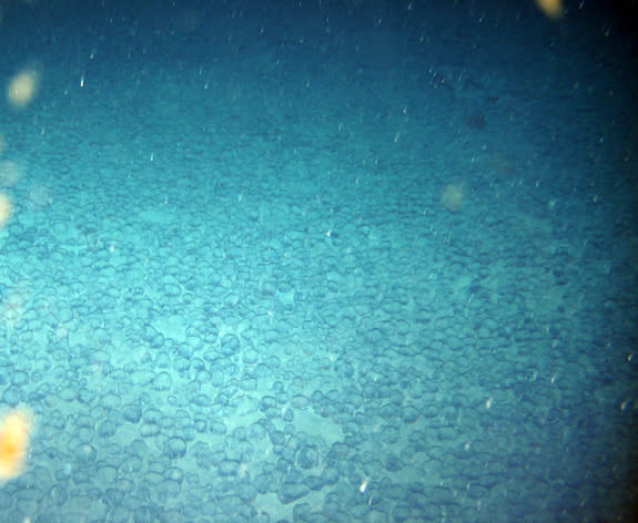 Manganese nodules found in the tropical Atlantic Ocean.