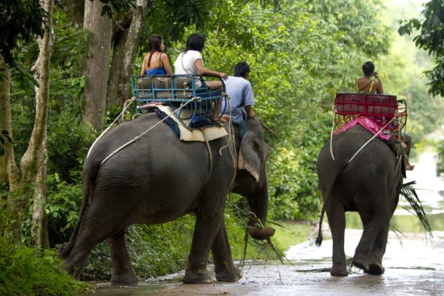 Tourists ride atop Asian elephants, Chaweng, island of Ko Samui, Thailand