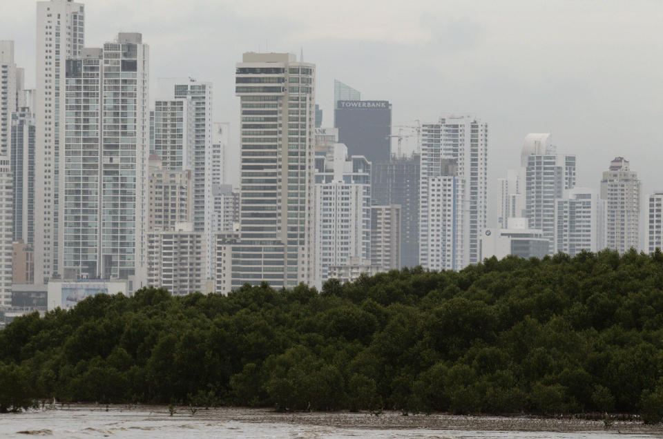 In this photo taken Oct. 18, 2012, a mangrove forest hugs the coastline of Panama City. A multi-year boom in Central America’s fastest-growing economy has unleashed a wave of development along the Bay of Panama. Environmentalists warn that the construction threatens one of the world’s richest ecosystems and the habitat for as many as 2 million North American shorebirds. (AP Photo/Arnulfo Franco)