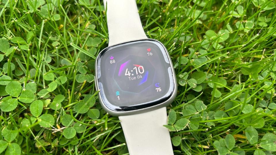 Fitbit Sense 2 on grass