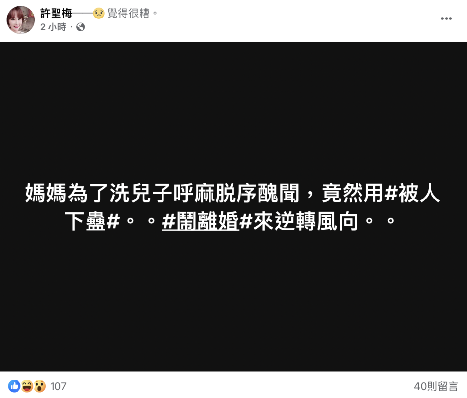 許聖梅在臉書發文吐槽狄鶯這波試圖洗白兒子的操作。（圖／翻攝自許聖梅 臉書）