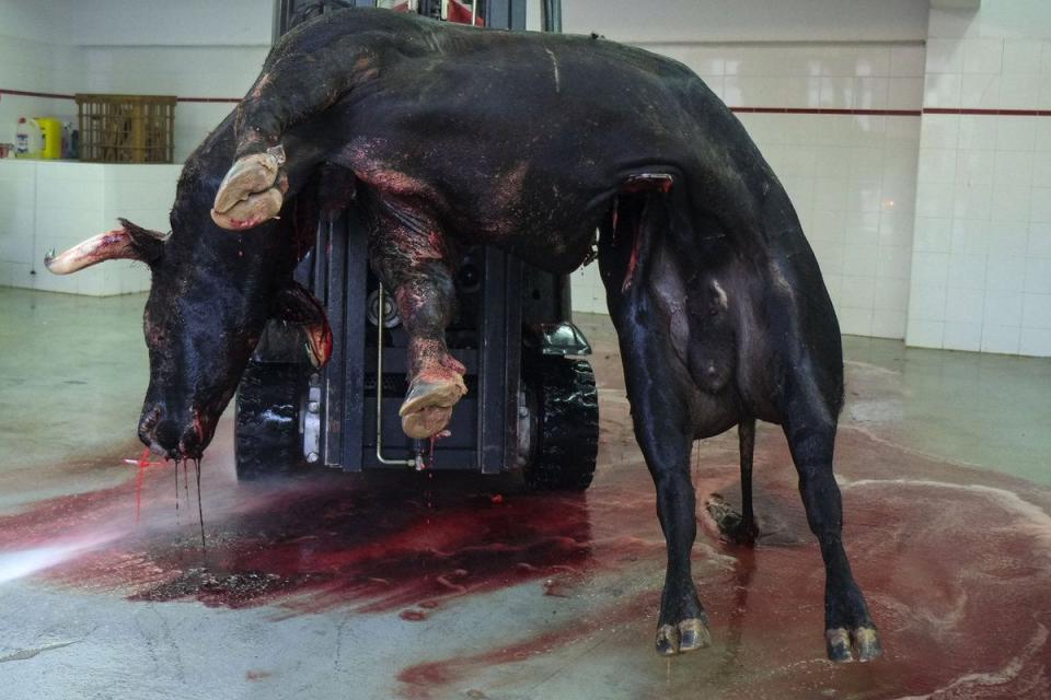 Las fotos que nadie enseña de San Fermín: esto es lo que ocurre tras la muerte de un toro