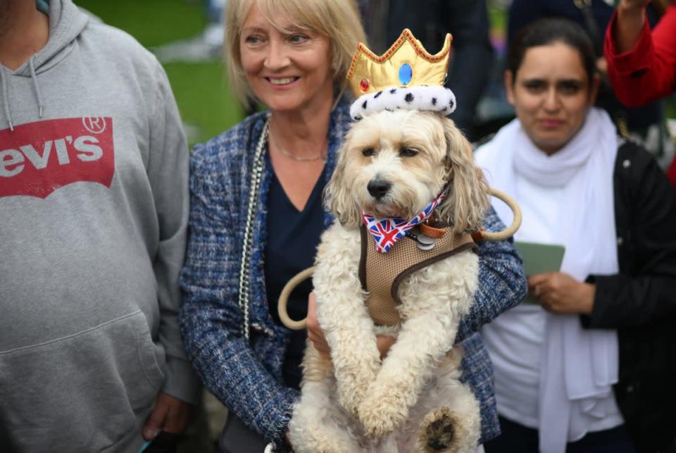 A dog wearing a crown during the Big Jubilee Lunch (Daniel Leal/PA) (PA Wire)