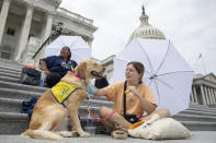 Casey Long and Adrienne, a service dog in training, sit on the steps of Capitol Hill in Washington on Tuesday, Aug. 3, 2021. Treasury Secretary Janet Yellen briefed House Democrats Tuesday on the administration's efforts to prevent widespread housing evictions after a moratorium lapsed, but lawmakers protesting outside the U.S. Capitol said more needs to be done, intensifying pressure on President Joe Biden to act. (AP Photo/Amanda Andrade-Rhoades)