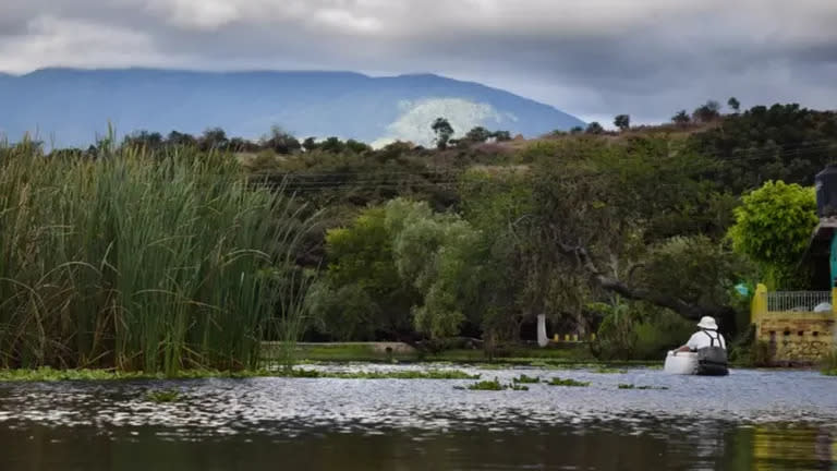 El sitio de reintroducción en Jalisco, el suroeste de México