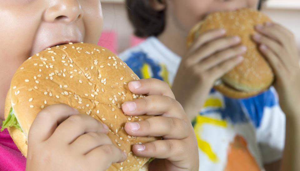 Boy And Girl With Hamburgers.  