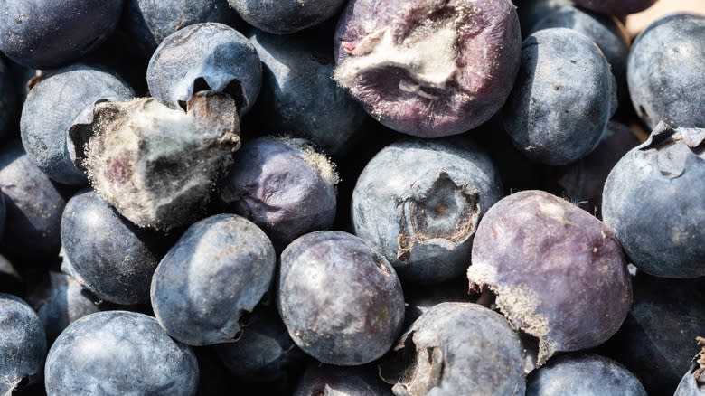 blueberries in plastic tray