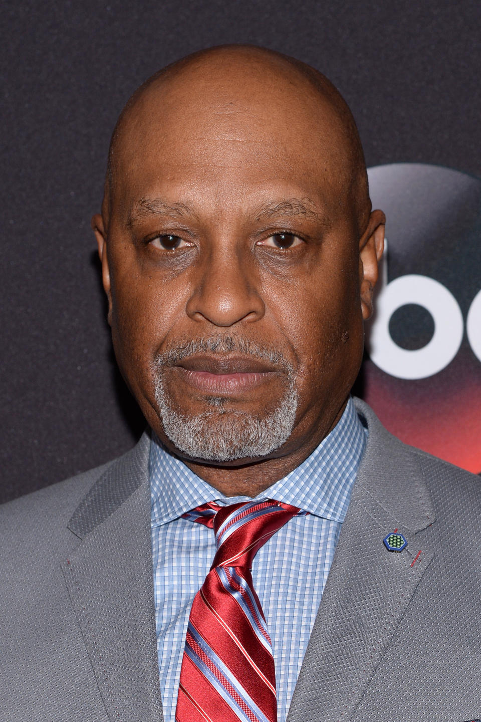 James Pickens Jr. (Richard Webber)