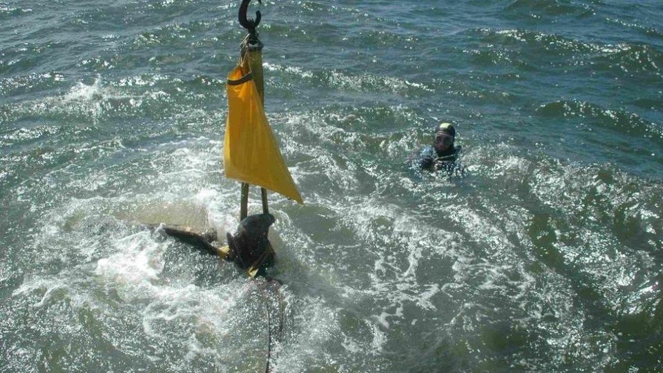 El águila del Graf Spee siendo rescatada en 2006