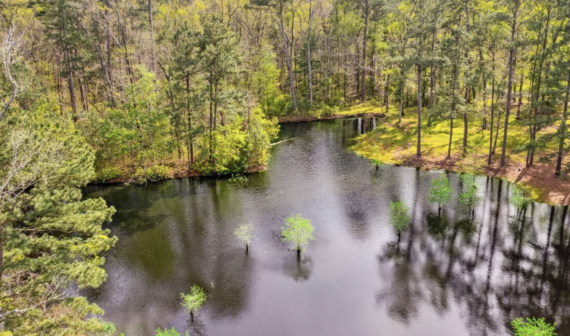 SC plantation with ties to Robert E. Lee sells for $9 million.