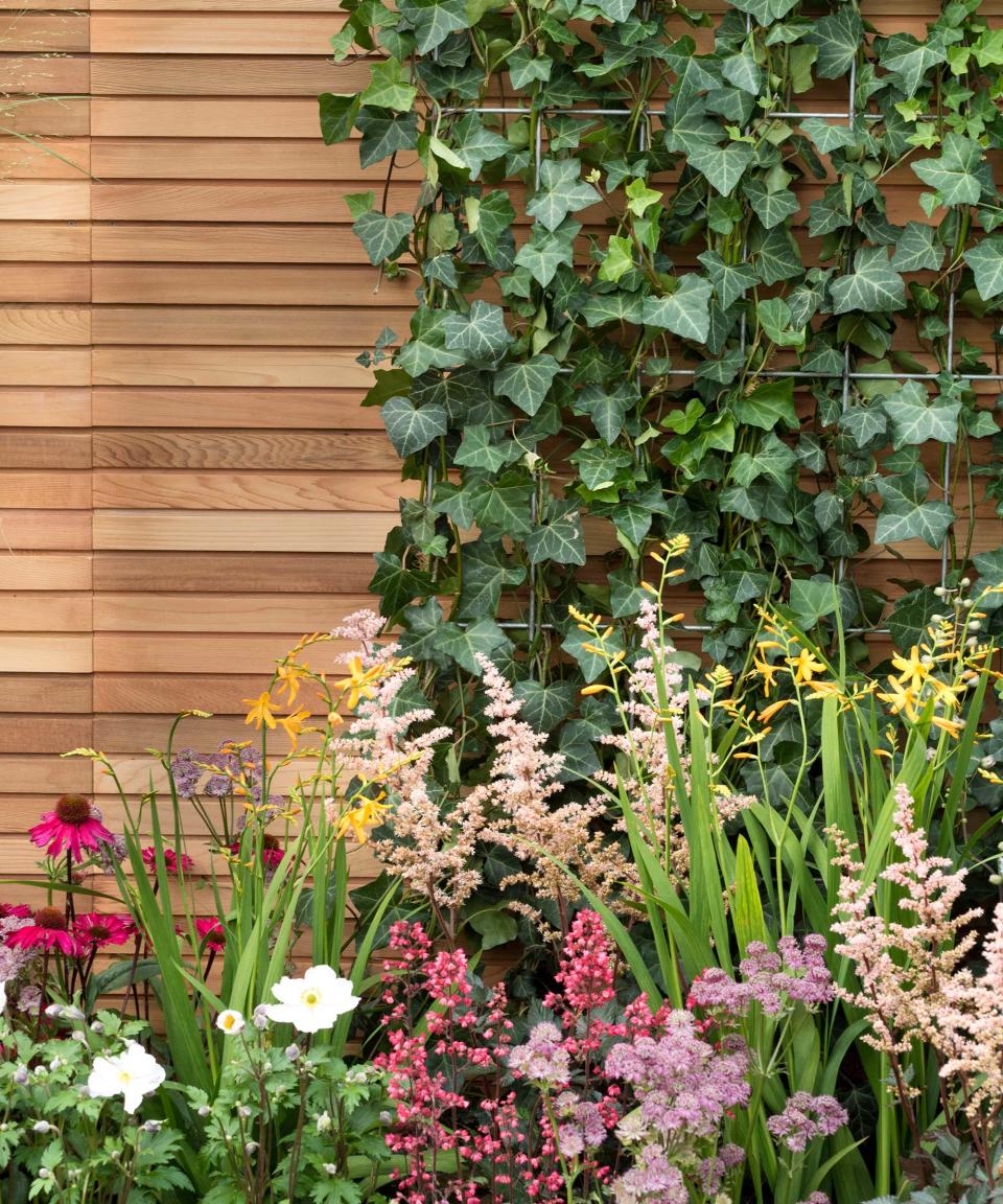 6. Up the level of greenery in your garden by attaching a trellis