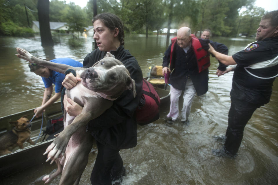 Jade McLain carries Thor out of a boat as she and Fred Stewart were rescued from their flooded neighborhood inundated by rains from Tropical Depression Imelda by Splendora Police officers on Thursday, Sept. 19, 2019, in Spendora, Texas. (Photo:  Brett Coomer/Houston Chronicle via AP)