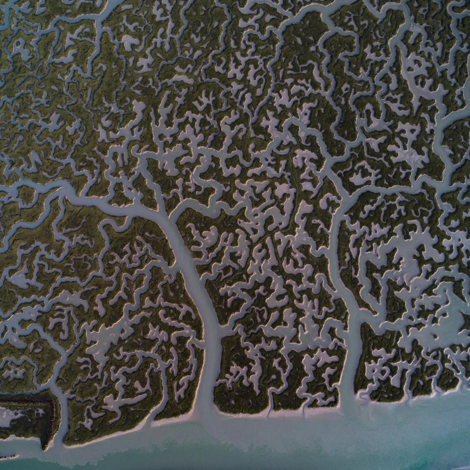 Marshland at Blue Hour, Cadiz Bay, Spain. (Photo: Milan Radisic/Caters News)