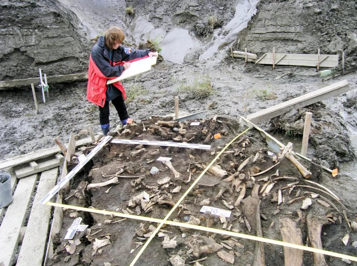 The site where the teeth were found (Getty) 