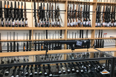 Firearms and accessories are displayed at Gun City gunshop in Christchurch, New Zealand, March 19, 2019. REUTERS/Jorge Silva