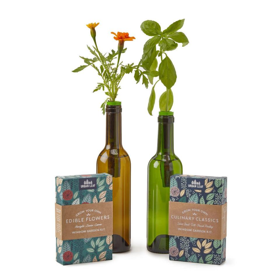<p>Uncommon Goods</p><p><strong>$19.00</strong></p><p>As if you needed another reason to finish that bottle of wine, this kit puts your empty wine bottles to use. Once the bottle is empty and washed, you'll fill it up with water and plug the top of it with a soil capsule. Next, just add in some seeds and put it on the window sill. Soon enough, you'll have full-sized leaves of edible flowers or go-to herbs like dill and basil.</p>