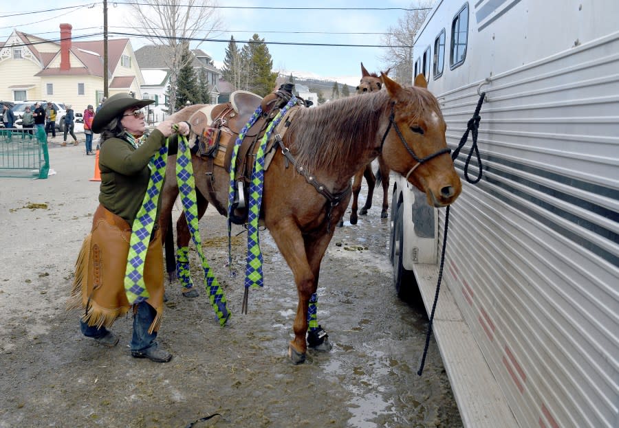 Holly Binnian tends to her horse Tamale at a skijoring competition in Leadville, Colo., on Saturday, March 2, 2024. Skijoring draws its name from the Norwegian word skikjoring, meaning “ski driving.” It started as a practical mode of transportation in Scandinavia and became popular in the Alps around 1900. Today’s sport features horses at full gallop towing skiers by rope over jumps and around obstacles as they try to lance suspended hoops with a baton, typically a ski pole that’s cut in half. (AP Photo/Thomas Peipert)