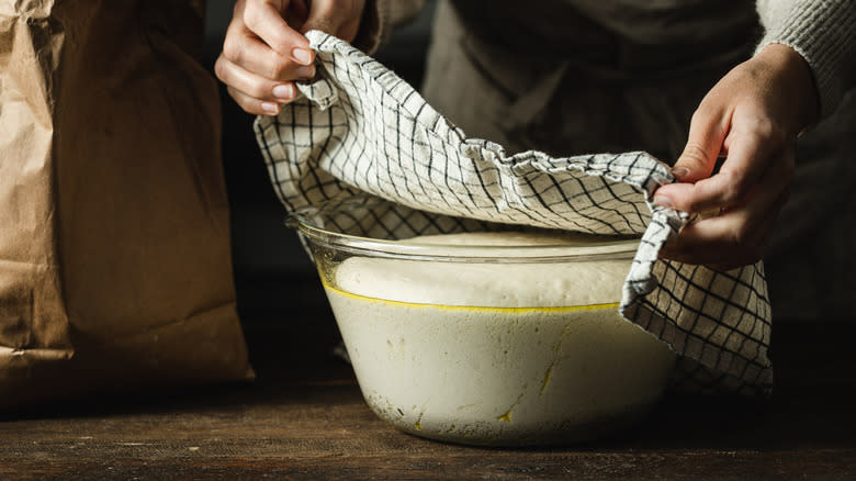 Person lifting towel off risen dough in bowl