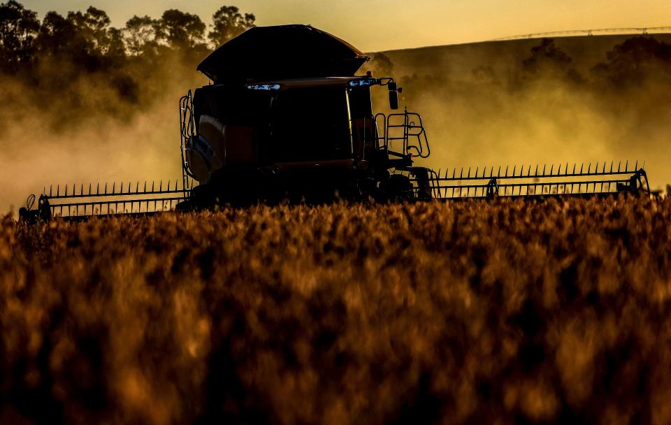 A combine harvester crops soybeans in a field at Salto do Jacui, in Rio Grande do Sul, Brazil, on April 7, 2021. - Rio Grande do Sul is the third-largest state producer of grain in the country, which is the world's largest producer of soy. According to the Ministry of Agriculture, production should reach a new record, estimated at 135.5 million tons, approximately 8.6% more tons than the 2019/20 harvest. (Photo by SILVIO AVILA / AFP) (Photo by SILVIO AVILA/AFP via Getty Images)