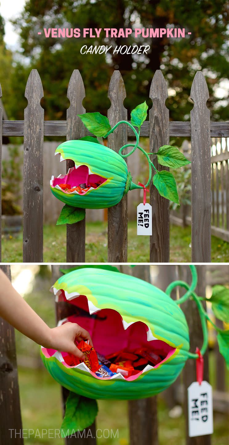 Venus Fly Trap Pumpkin Candy Holder