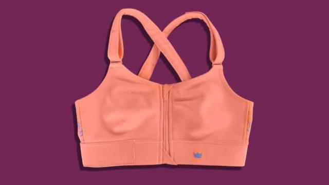 SHEFIT, Intimates & Sleepwear, Shefit Luxe Adjustable Sports Bra Pink