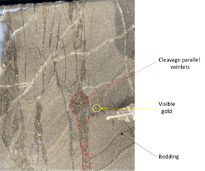 OKD355 Relationship of bedding and cleavage parallel veins