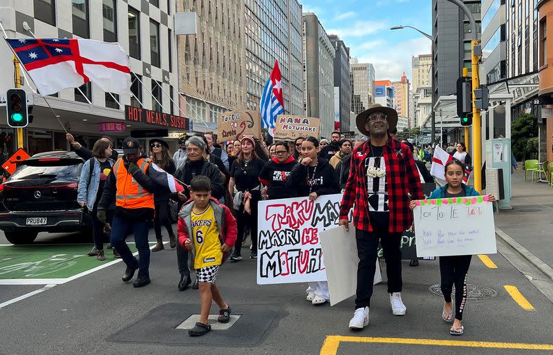 Protest against the incoming government and its policies, in Wellington