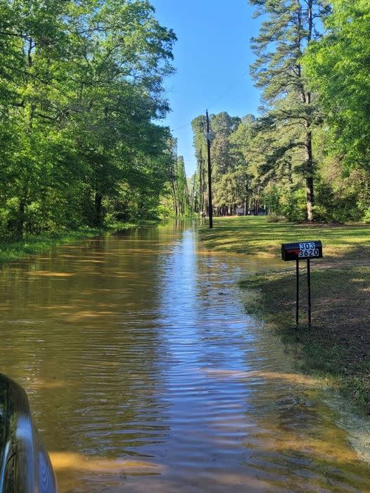 <em>Photo courtesy of Shelby County Sheriff’s Office.</em>