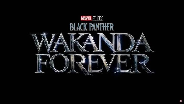 Black Panther: Wakanda Forever