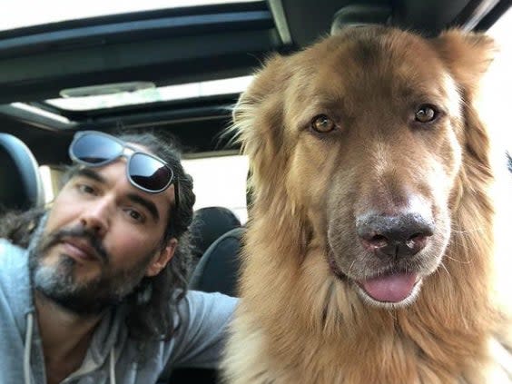 Russell Brand and his dog, Bear (Russell Brand/Instagram)