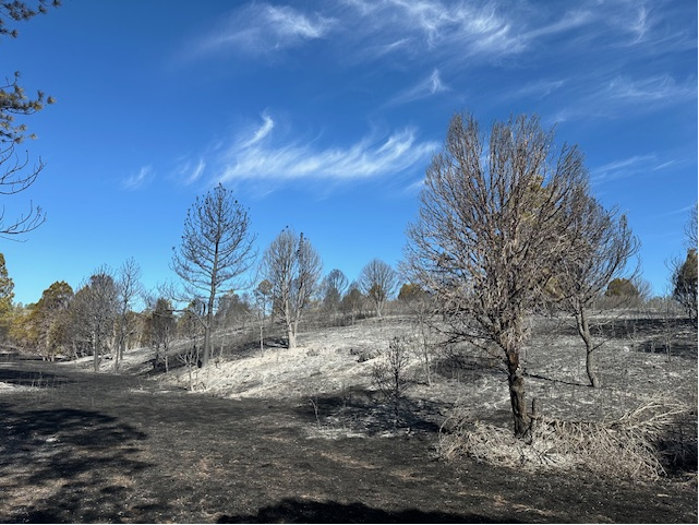 The Oakmont Fire began at noon on May 3 in TImberon, New Mexico. The Oakmont Fire had burned 130 acres by May 6.