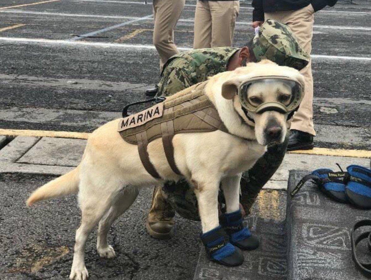 People in Mexico city are rushing to find survivors of the earth quake