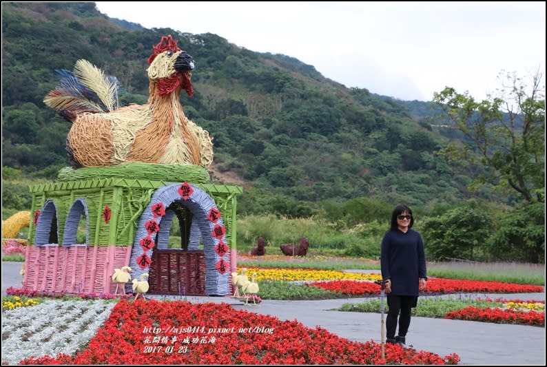 成功花海-2017-01-20.jpg