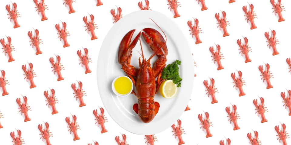 Where to Order The Highest Quality Lobster Online