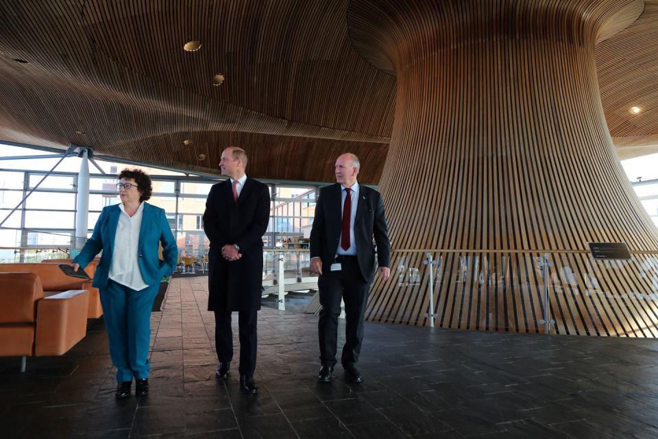 prince william senedd