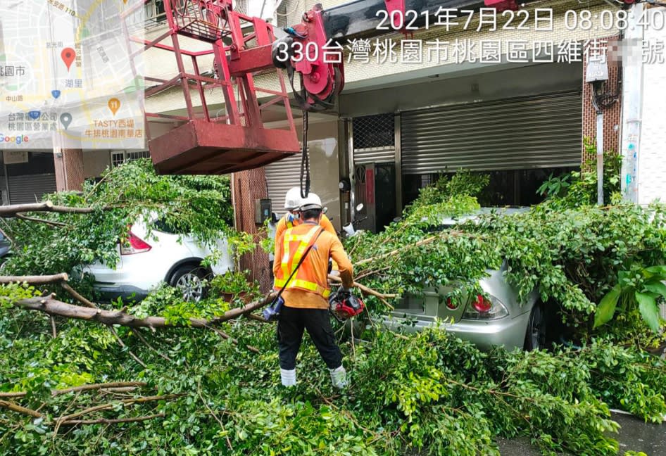 桃園市桃園區四維街22日凌晨有大樹倒塌，堵塞交通且壓損住戶車輛，警方封鎖現場進行交通管制，並通報清潔隊到場協助清理障礙。（警方提供）