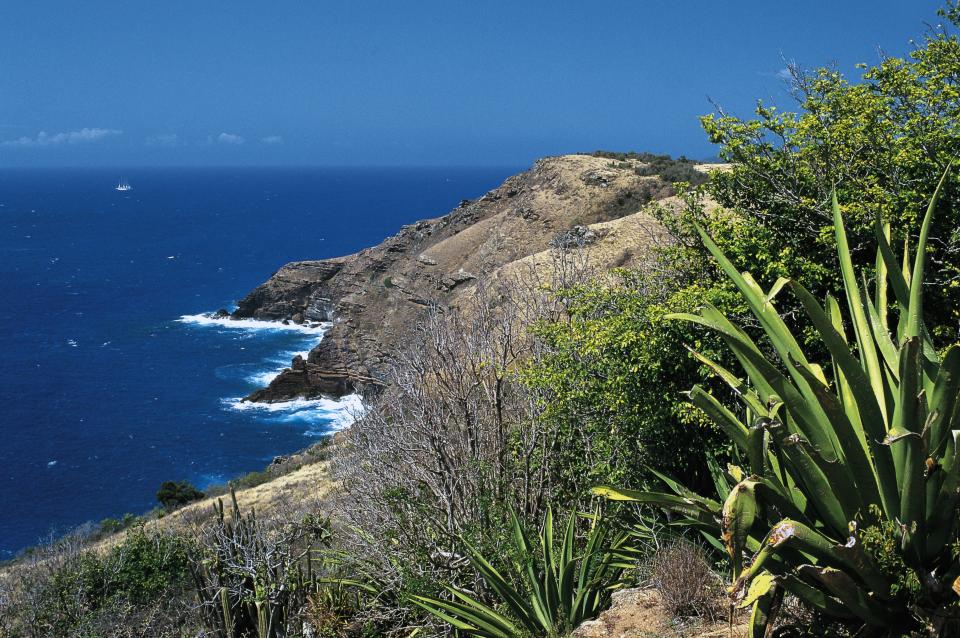 Saint-Martin (Antilles françaises)