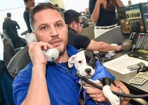 That “Tom Hardy Holding Dogs” Instagram has so many new pics, and you’re welcome in advance