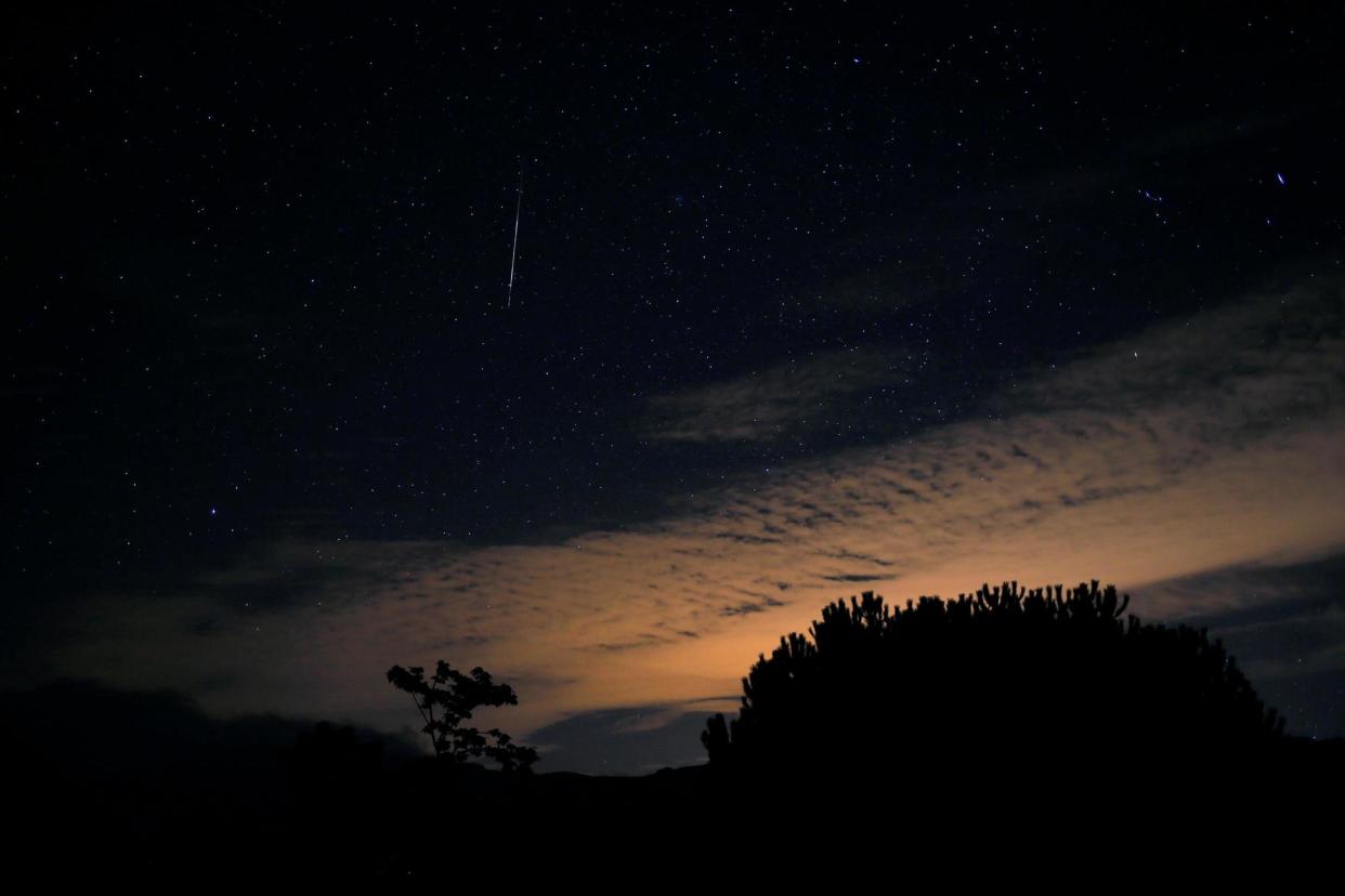 Dazzling display: Orionid meteors light up the sky over the Sierra de las Nieves nature park in Malaga: REUTERS
