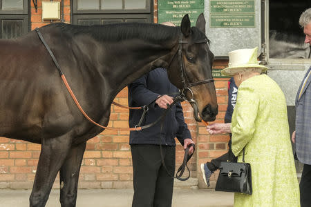 Britain's Queen Elizabeth II feeds a carrot to a horse during a visit to Manor Farm Stables in Ditcheat, Britain March 28, 2019. Matt Keeble/Pool via REUTERS