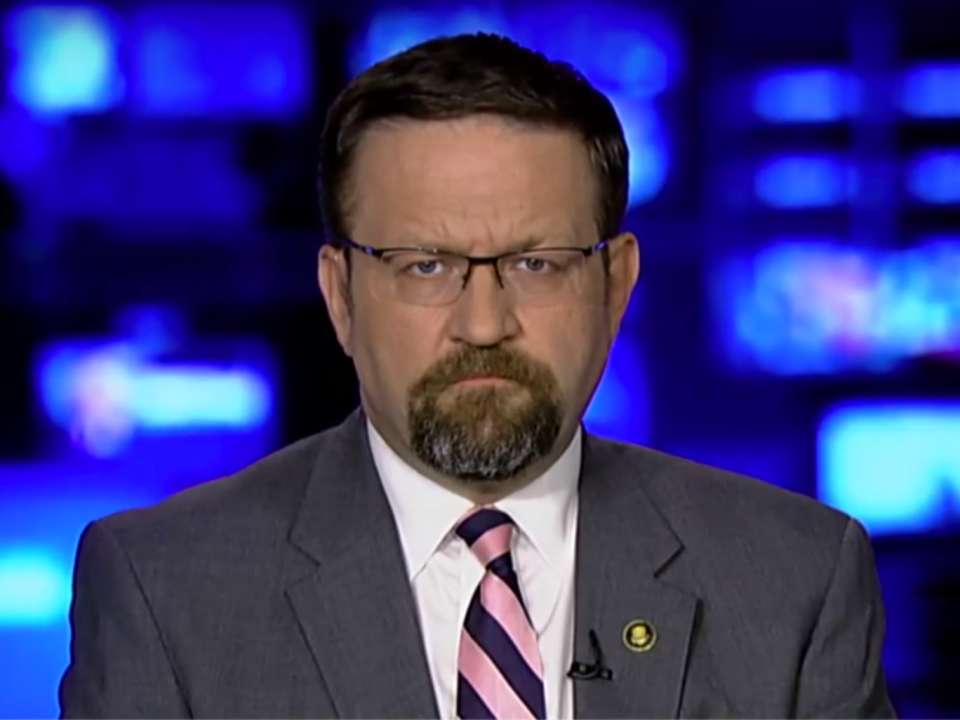 Deputy assistant to the President Sebastian Gorka speaks on Fox News (YouTube/Fox News)