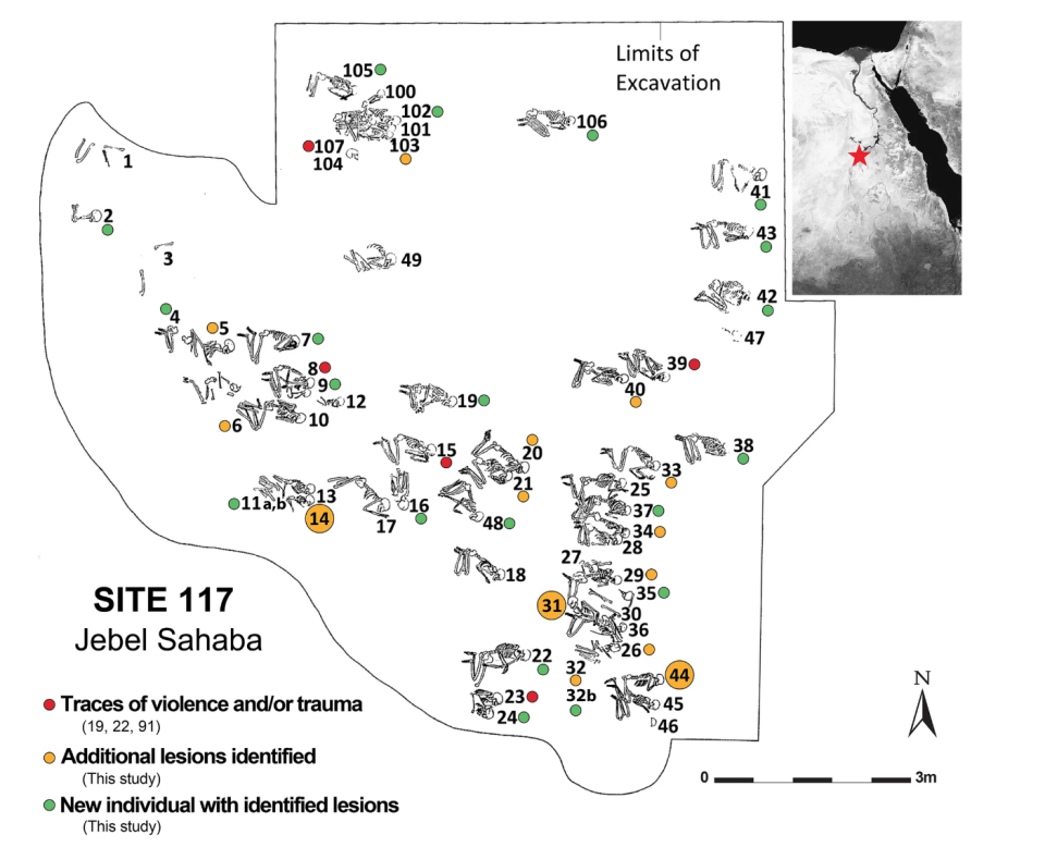 Researchers have reanalyzed fossils from a 13,000-year-old combat "cemetery" and they say the death site was the result of combat over many years.