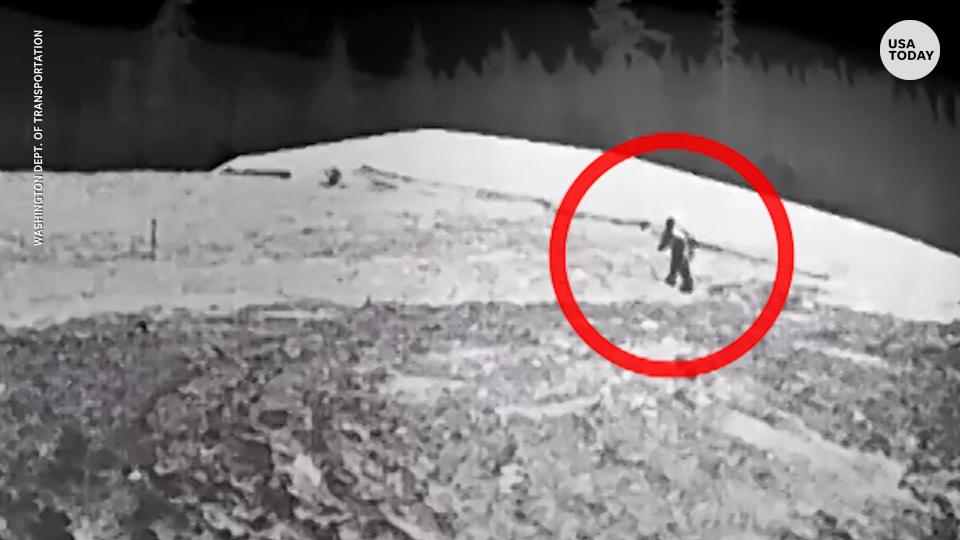 Another Bigfoot caught on traffic cameras in Washington or just another hoax?