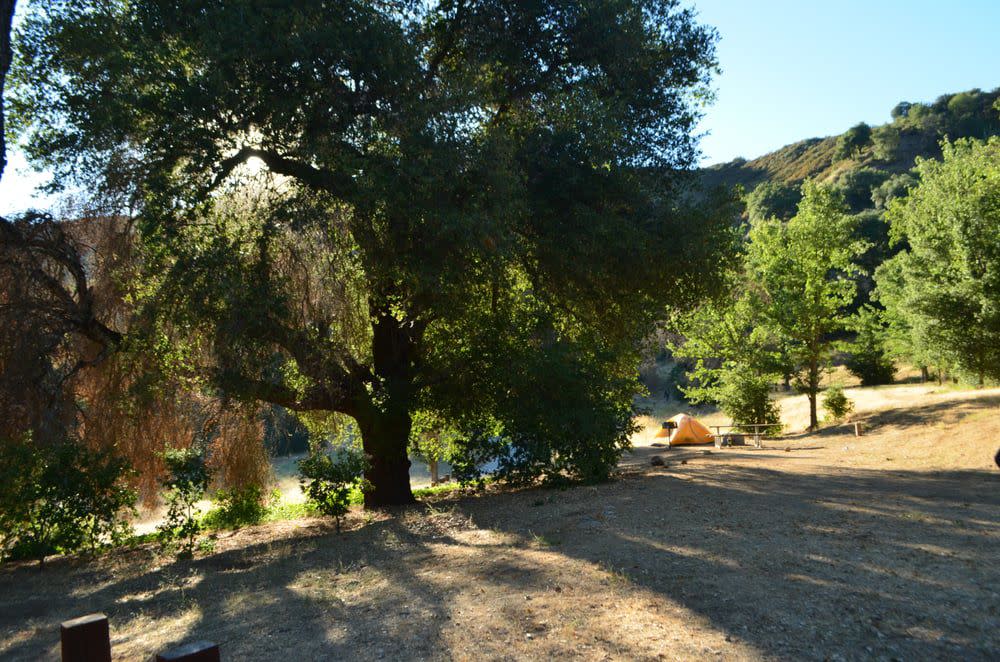 Ponderosa Campground, Big Sur, California