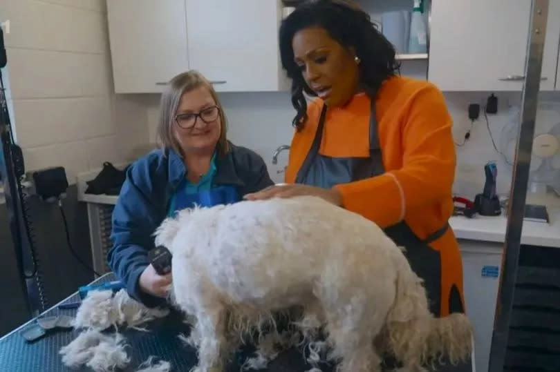 Alison Hammond on For The Love of Dogs